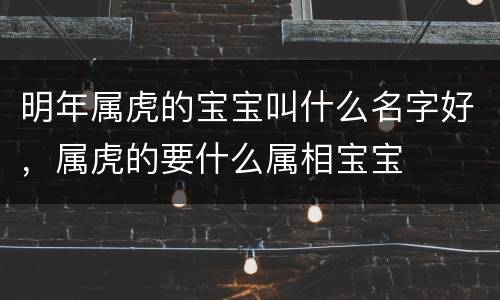 明年属虎的宝宝叫什么名字好，属虎的要什么属相宝宝