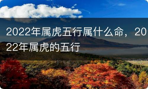 2022年属虎五行属什么命，2022年属虎的五行