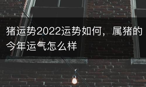 猪运势2022运势如何，属猪的今年运气怎么样