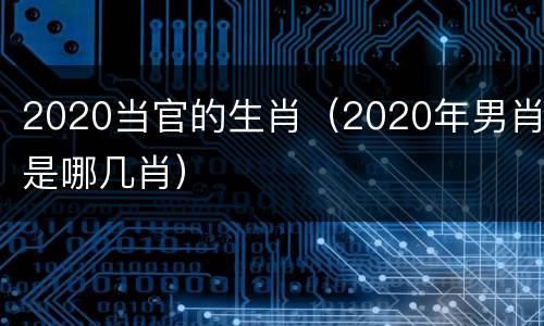 2020当官的生肖（2020年男肖是哪几肖）