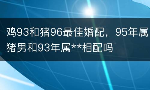 鸡93和猪96最佳婚配，95年属猪男和93年属**相配吗