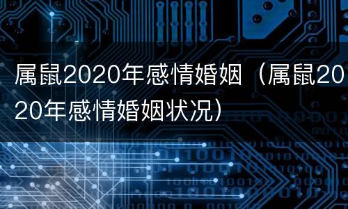 属鼠2020年感情婚姻（属鼠2020年感情婚姻状况）