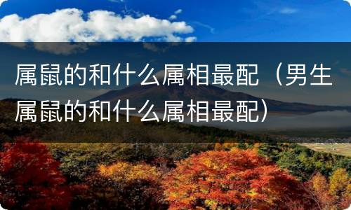 属鼠的和什么属相最配（男生属鼠的和什么属相最配）