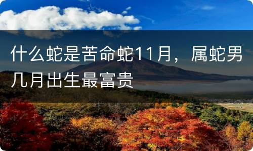 什么蛇是苦命蛇11月，属蛇男几月出生最富贵