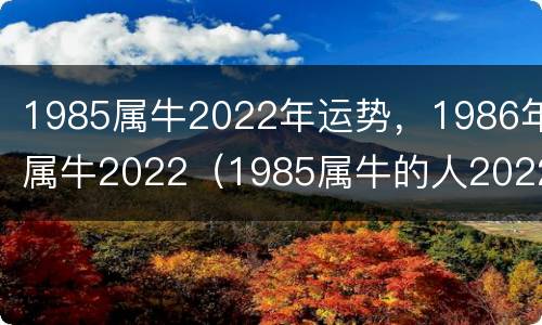 1985属牛2022年运势，1986年属牛2022（1985属牛的人2022年运势及运程）