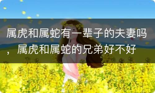 属虎和属蛇有一辈子的夫妻吗，属虎和属蛇的兄弟好不好