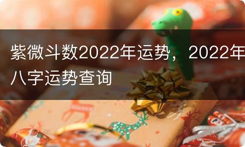 紫微斗数2022年运势，2022年八字运势查询