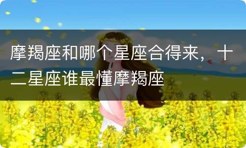 摩羯座和哪个星座合得来，十二星座谁最懂摩羯座