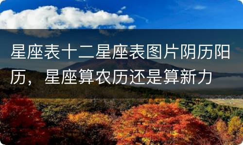 星座表十二星座表图片阴历阳历，星座算农历还是算新力
