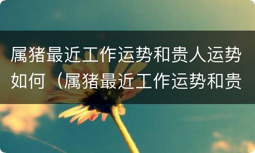属猪最近工作运势和贵人运势如何（属猪最近工作运势和贵人运势如何呢）