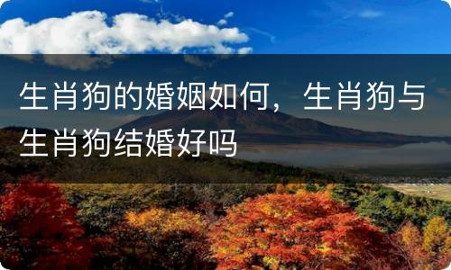 生肖狗的婚姻如何，生肖狗与生肖狗结婚好吗