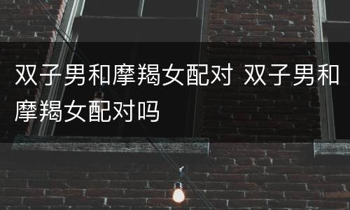 双子男和摩羯女配对 双子男和摩羯女配对吗