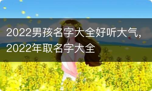 2022男孩名字大全好听大气，2022年取名字大全