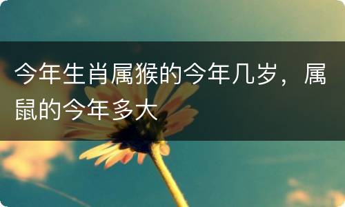 今年生肖属猴的今年几岁，属鼠的今年多大
