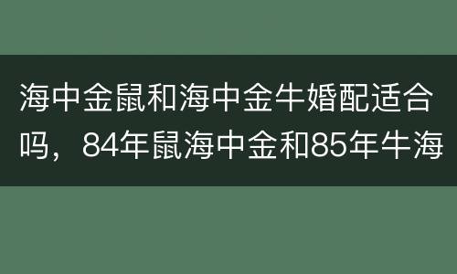 海中金鼠和海中金牛婚配适合吗，84年鼠海中金和85年牛海中金相配吗?