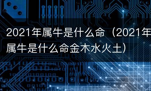 2021年属牛是什么命（2021年属牛是什么命金木水火土）