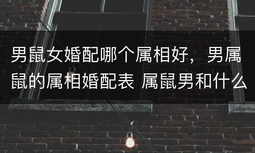 男鼠女婚配哪个属相好，男属鼠的属相婚配表 属鼠男和什么属相最配