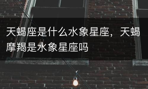 天蝎座是什么水象星座，天蝎摩羯是水象星座吗