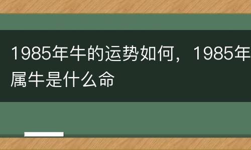1985年牛的运势如何，1985年属牛是什么命