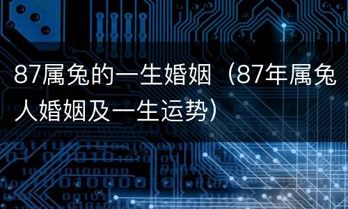 87属兔的一生婚姻（87年属兔人婚姻及一生运势）