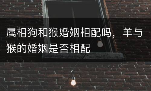 属相狗和猴婚姻相配吗，羊与猴的婚姻是否相配