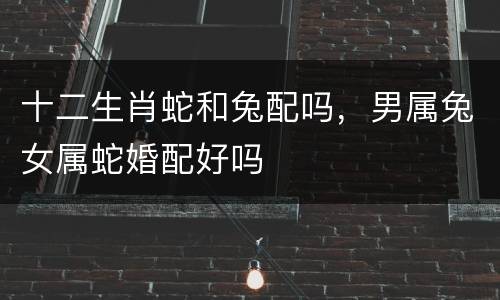 十二生肖蛇和兔配吗，男属兔女属蛇婚配好吗