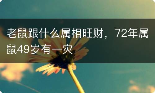 老鼠跟什么属相旺财，72年属鼠49岁有一灾
