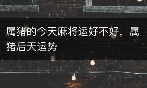 属猪的今天麻将运好不好，属猪后天运势