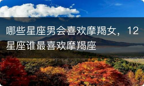 哪些星座男会喜欢摩羯女，12星座谁最喜欢摩羯座