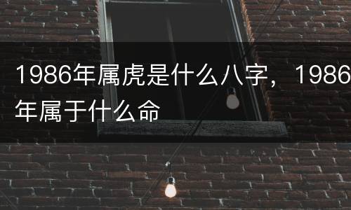 1986年属虎是什么八字，1986年属于什么命