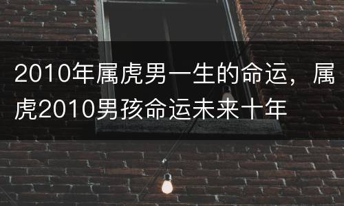 2010年属虎男一生的命运，属虎2010男孩命运未来十年