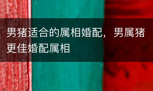 男猪适合的属相婚配，男属猪更佳婚配属相