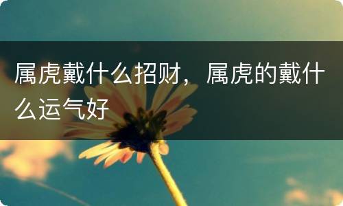 属虎戴什么招财，属虎的戴什么运气好