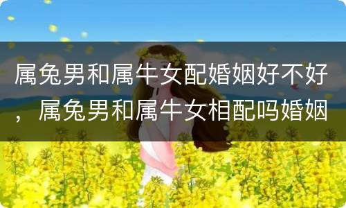 属兔男和属牛女配婚姻好不好，属兔男和属牛女相配吗婚姻