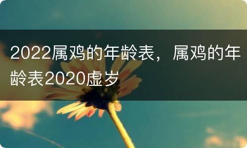 2022属鸡的年龄表，属鸡的年龄表2020虚岁