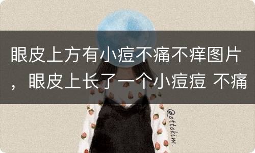 眼皮上方有小痘不痛不痒图片，眼皮上长了一个小痘痘 不痛不痒 已经好久了