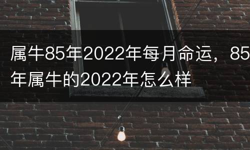 属牛85年2022年每月命运，85年属牛的2022年怎么样