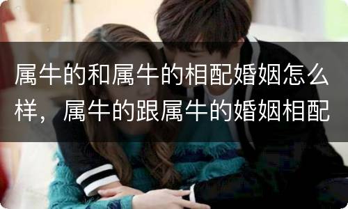 属牛的和属牛的相配婚姻怎么样，属牛的跟属牛的婚姻相配吗