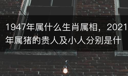 1947年属什么生肖属相，2021年属猪的贵人及小人分别是什