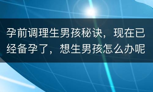 孕前调理生男孩秘诀，现在已经备孕了，想生男孩怎么办呢？目前比较适合的办