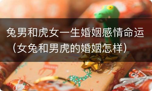 兔男和虎女一生婚姻感情命运（女兔和男虎的婚姻怎样）