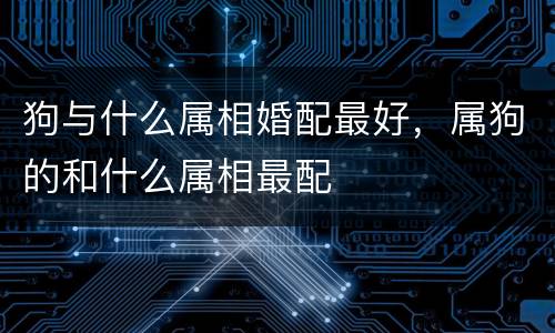 狗与什么属相婚配最好，属狗的和什么属相最配