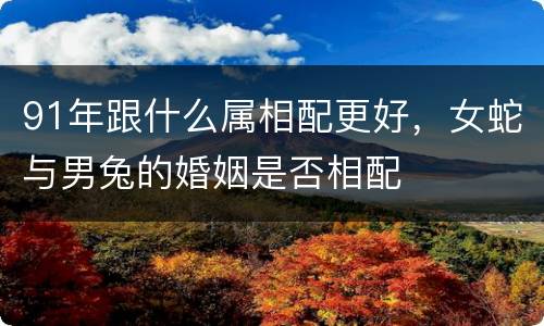 91年跟什么属相配更好，女蛇与男兔的婚姻是否相配