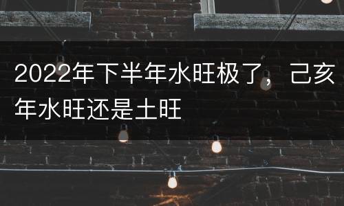2022年下半年水旺极了，己亥年水旺还是土旺