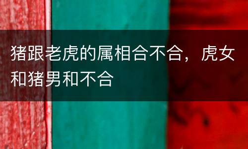 猪跟老虎的属相合不合，虎女和猪男和不合