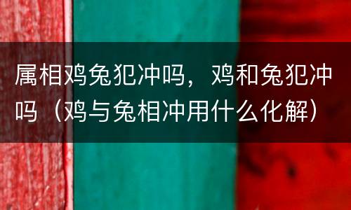 属相鸡兔犯冲吗，鸡和兔犯冲吗（鸡与兔相冲用什么化解）