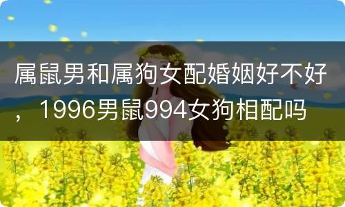 属鼠男和属狗女配婚姻好不好，1996男鼠994女狗相配吗