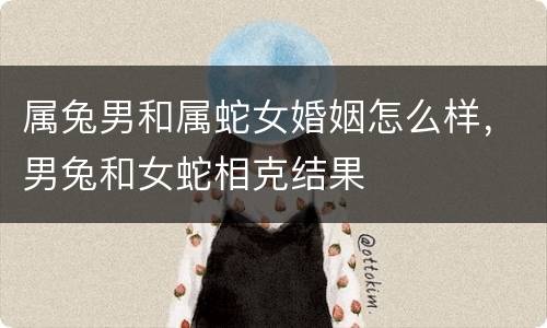 属兔男和属蛇女婚姻怎么样，男兔和女蛇相克结果