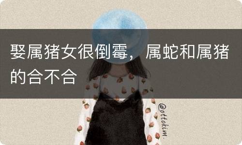 娶属猪女很倒霉，属蛇和属猪的合不合