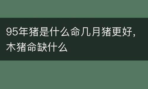 95年猪是什么命几月猪更好，木猪命缺什么